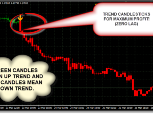 FOREX HIGH ACCURACY - TREND RIDER INDICATOR MT 4