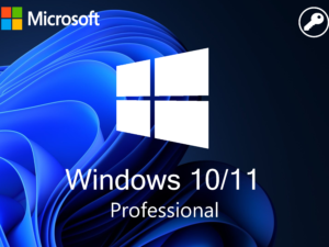 💎 Windows 10/11 Pro Key 🔑 100% Online Activation